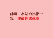 英雄联盟总决赛直播-橙白风暴中的孤勇者，2026世界杯C组关键战，波兰如何以流畅攻守转换击穿荷兰