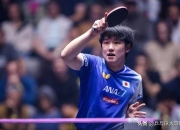 -包含法国队轻取德国队，张本智和高光表现的词条