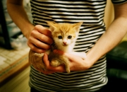 英雄联盟总决赛门票-若日尼奥的跨界王朝，当足球大脑接管东决G7