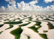 英雄联盟总决赛门票-缰绳与蜂刺，浙江队窒息节奏下的西决生死战