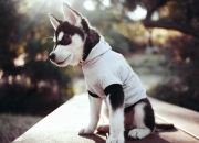 英雄联盟总决赛赛程-托尼爆发引爆战术革命，勒沃库森连续得分压制巴萨的唯一性解析