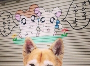 英雄联盟总决赛门票-跨界风暴，步行者力克勇士演绎团队史诗，莫兰特F1街道赛上演个人霸权