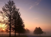 LOL决赛-熔岩撕开冻土，当迪亚斯的炙热铁蹄踏碎冰岛神话