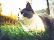 英雄联盟总决赛赛程-七秒绞索，当保罗的意外秒杀掐灭热火最后四分钟