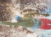 LOL赛事-灰熊绝地反扑，福克斯一球定江山