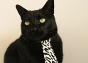 英雄联盟总决赛赛程-门迪之夜，亚平宁焦点战的四幕逆转剧