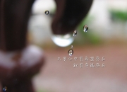 英雄联盟总决赛直播-哈弗茨关键战不手软，塞内加尔爆冷沙特，足坛双响炮震撼世界