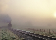 英雄联盟总决赛-方寸之争，灰熊绝境中燃起的星火，与马刺最后103秒的冰冷答案