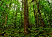 -闯入者与镜像，当76人在西决生死战中鏖战雷霆