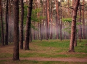 英雄联盟总决赛直播-非常有趣，两个看似毫不相干的体育元素—CBA的吉林队和NBA的字母哥—要融合出唯一性。关键在于找到一个共同的精神内核，逆势统治、绝对碾压、以及个人英雄主义的极致体现