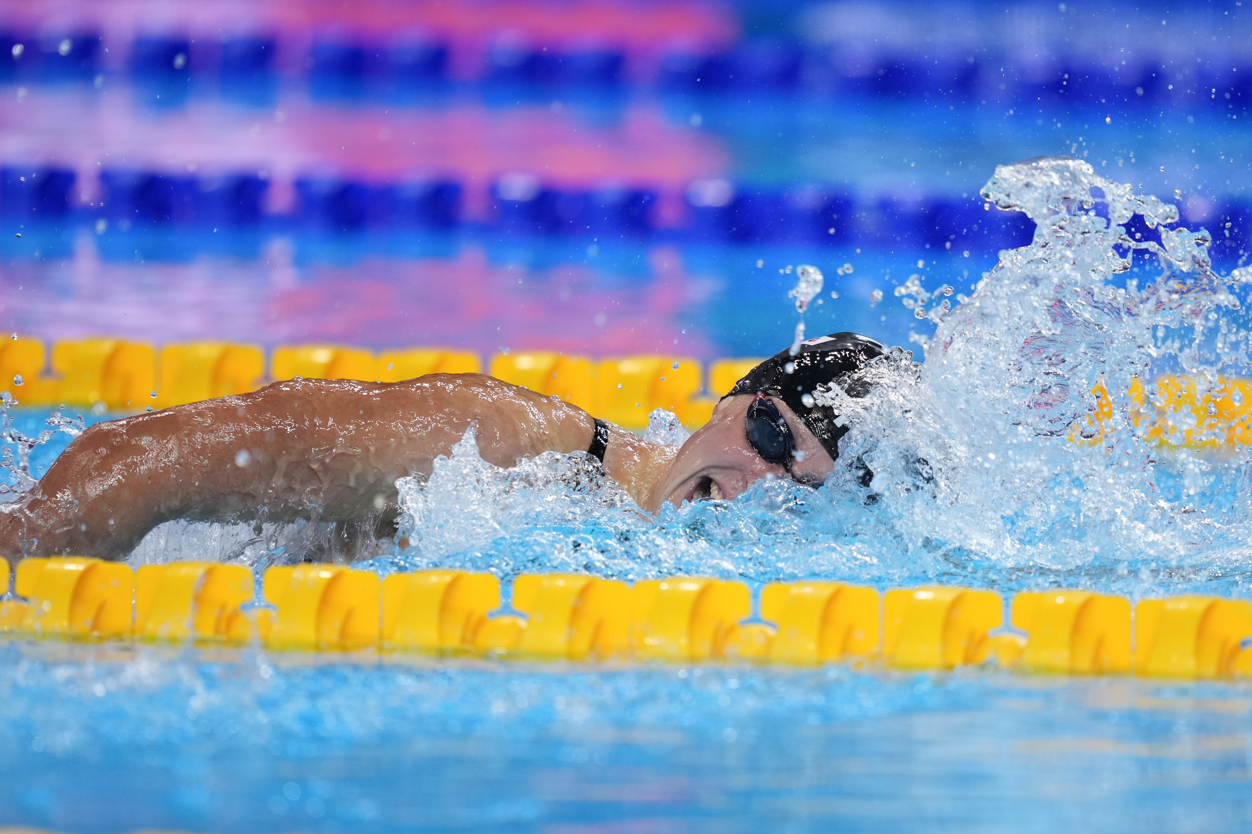 关于世界赛舞台，游泳代表国家出征荣耀的信息