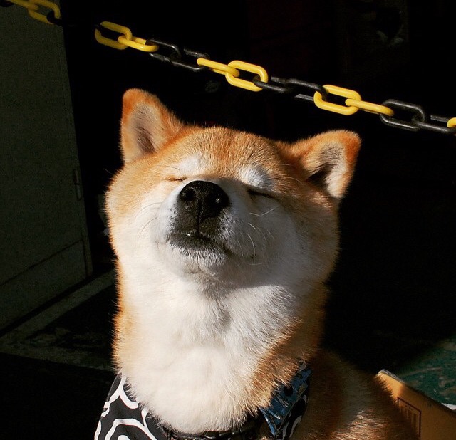 雷霆如闪电劈开森林狼，小贾伦关键三分书写晋级新篇章