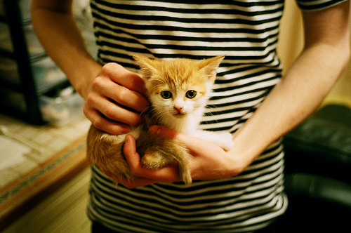 若日尼奥的跨界王朝，当足球大脑接管东决G7