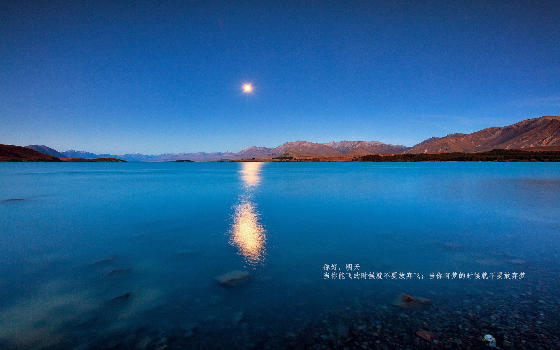 无声惊雷，东决硝烟中，阿坎吉的几何学胜利