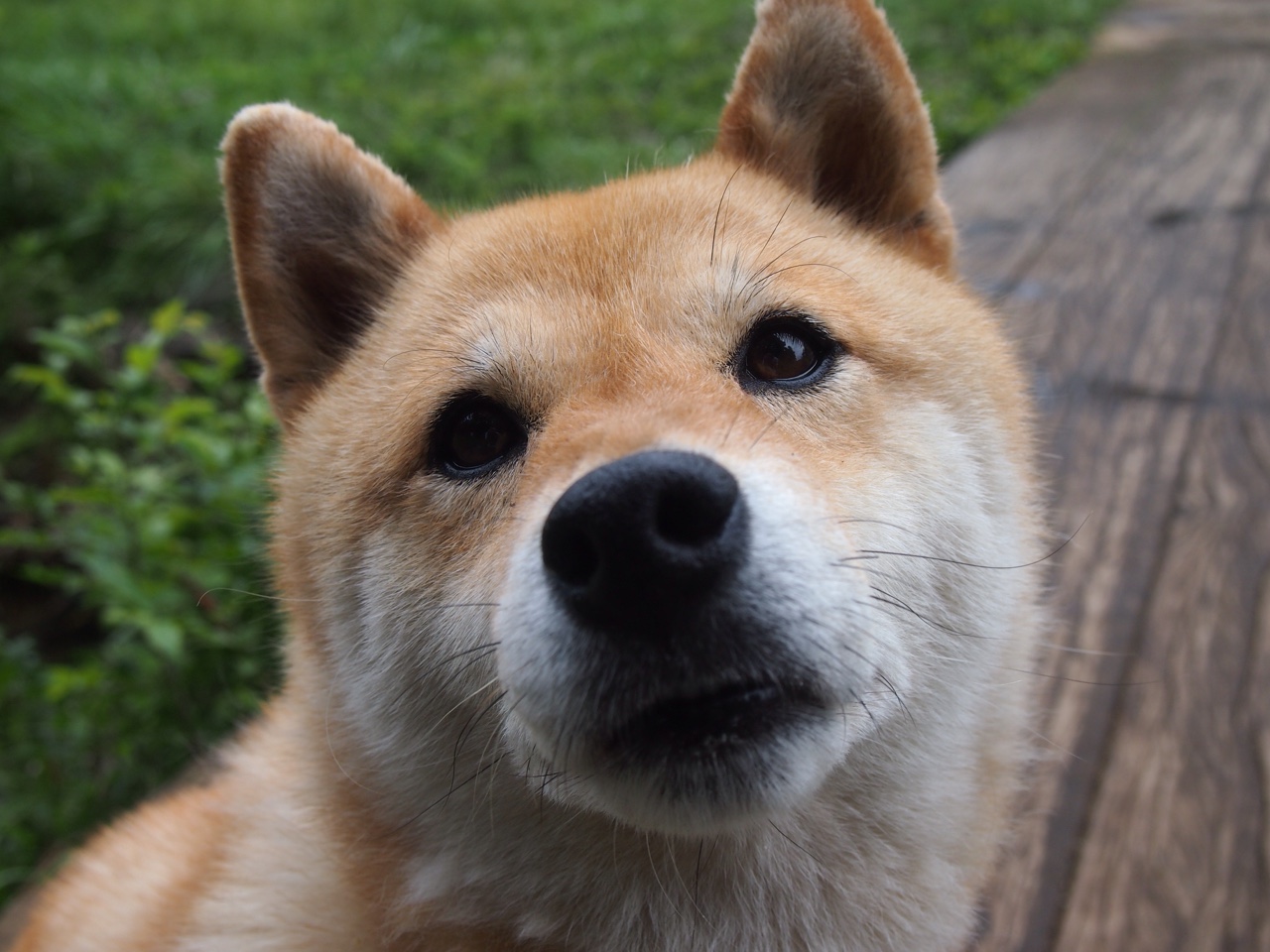 横跨大洋的篮球智慧，从大帝恩比德的统治力到广厦的战术手术刀—现代篮球的攻防启示录