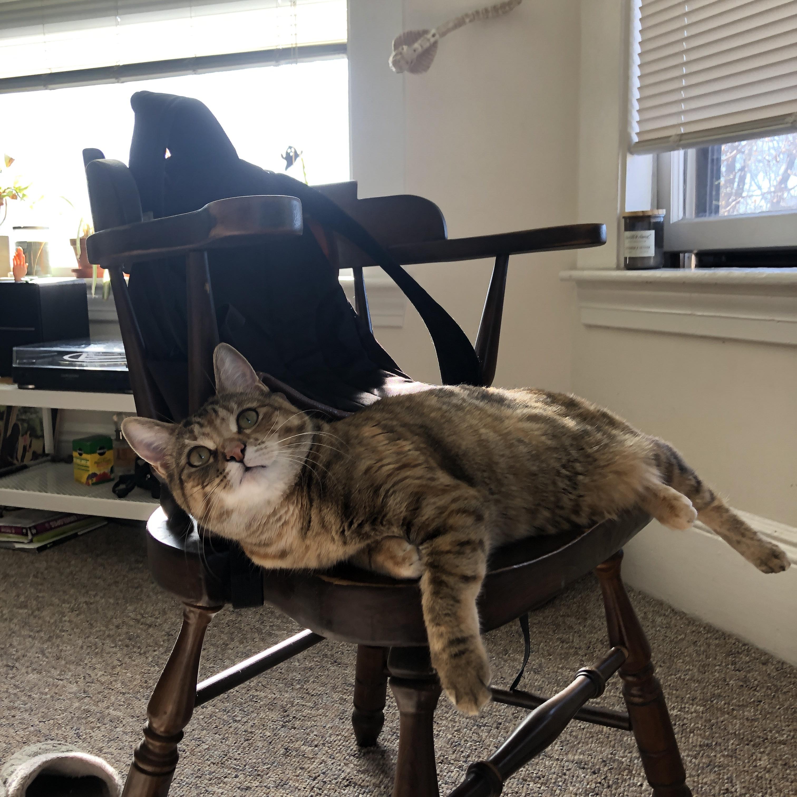 保罗的时间魔术,提前按表关闭悬念,鹈鹕掌控节奏终结步行者