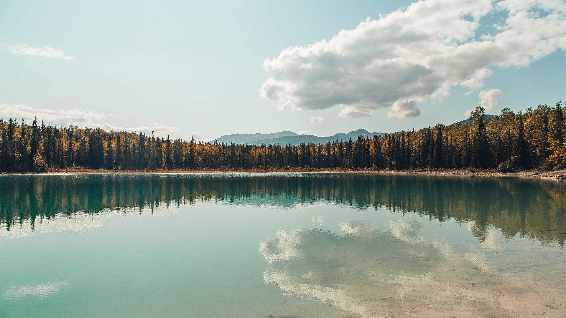丹麦奇袭安菲尔德，解码恩佐，一场源于战术暗线的致命突袭