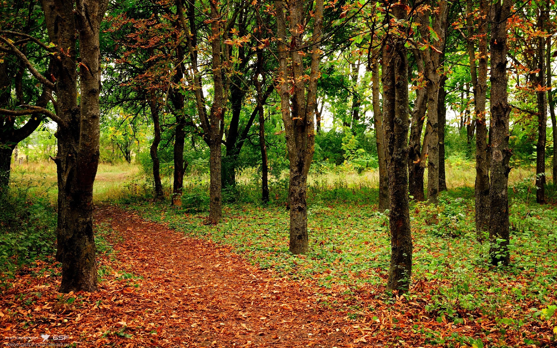破解之道,法比尼奥的独门技艺与那不勒斯的克罗地亚封锁术