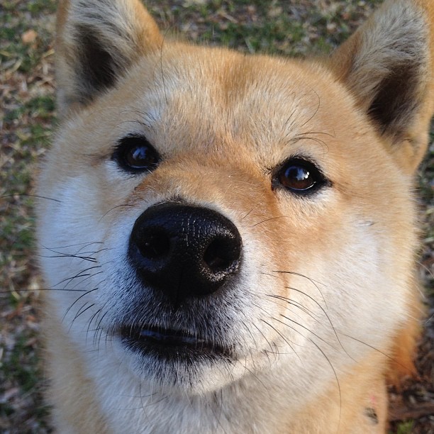 友谊赛变降维打击！锡安炸裂表现让吉林主场彻底沸腾