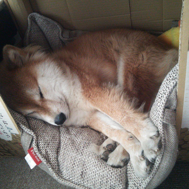 伦纳德致命一击，当现代篮球最古老的答案在终场响起