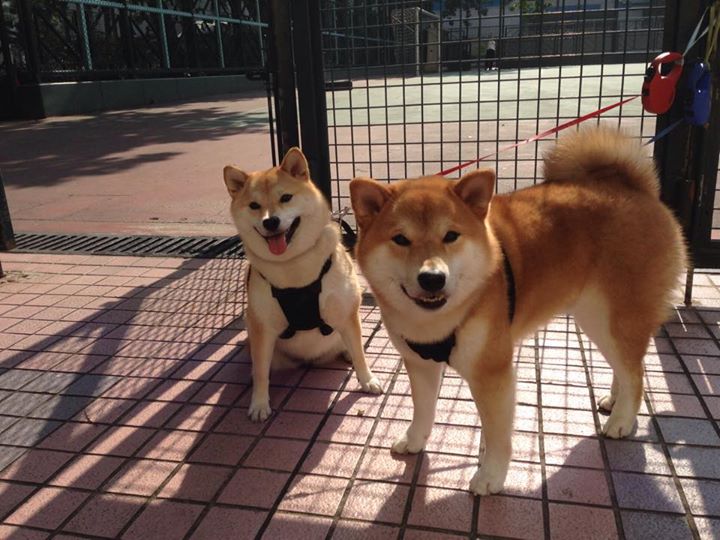 鏖战之夜，马丁内利爆发引领新西兰逆转土耳其