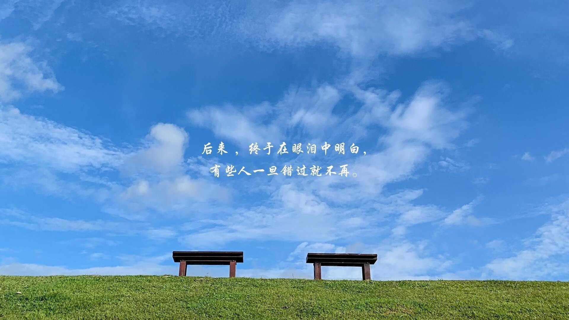 （扩展思维后拟定的几个选择）