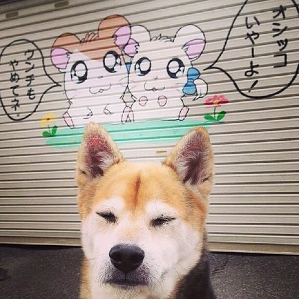 跨界风暴，步行者力克勇士演绎团队史诗，莫兰特F1街道赛上演个人霸权