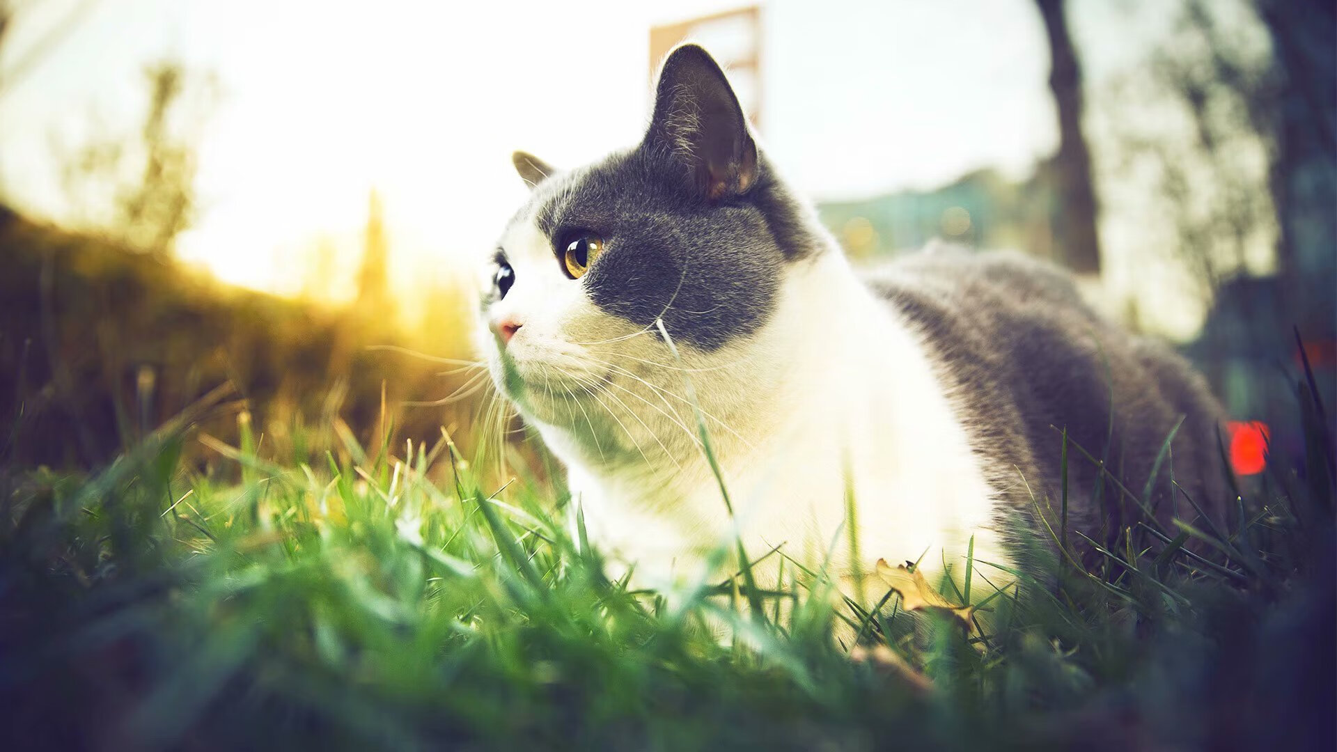 七秒绞索,当保罗的意外秒杀掐灭热火最后四分钟