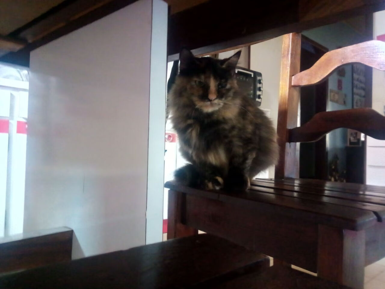 引擎对决,F1巴林首战前瞻与浙江队活塞引擎大修记