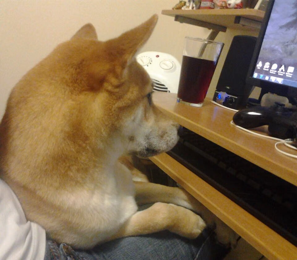 末日纪念碑前,布鲁诺为佛罗伦萨与南非签下新约