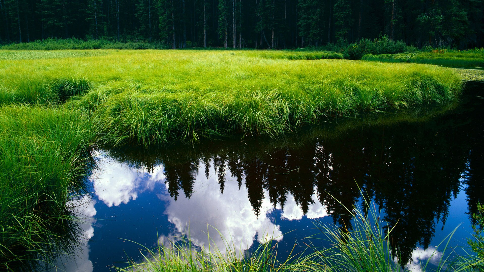 24小时双线狂飙，英超窒息缠斗与欧战铁血加时，共演足球终极戏剧