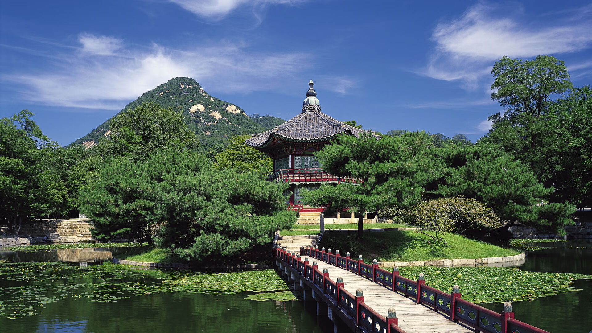 美加墨星空下，凯塞多的生涯之夜与足球命运的交响