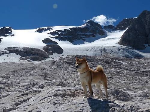 末节风暴，丹麦铁骑踏破雷恩，罗德里一剑封喉