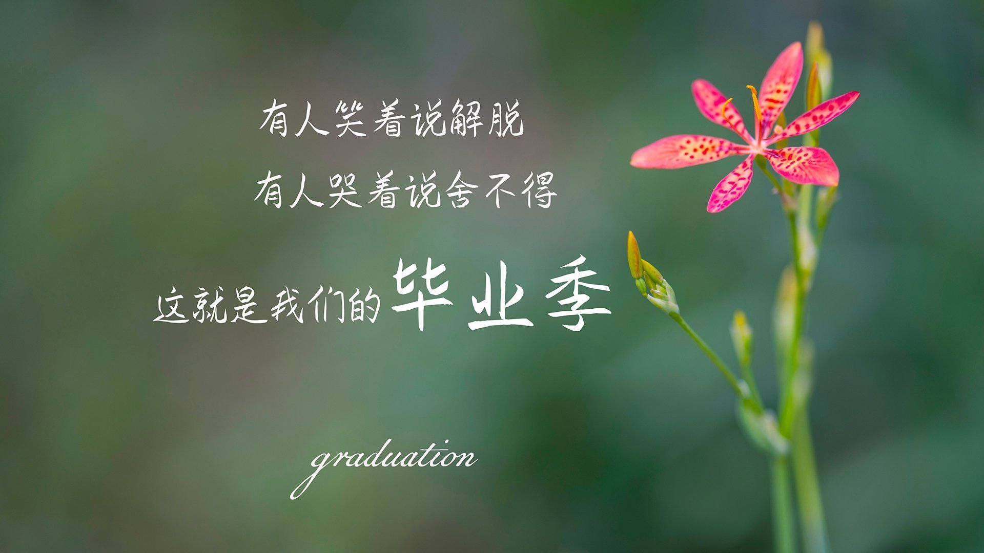 当东方红浪席卷美利坚,欧文抢七封神夜,山西队上演篮球版封狼居胥