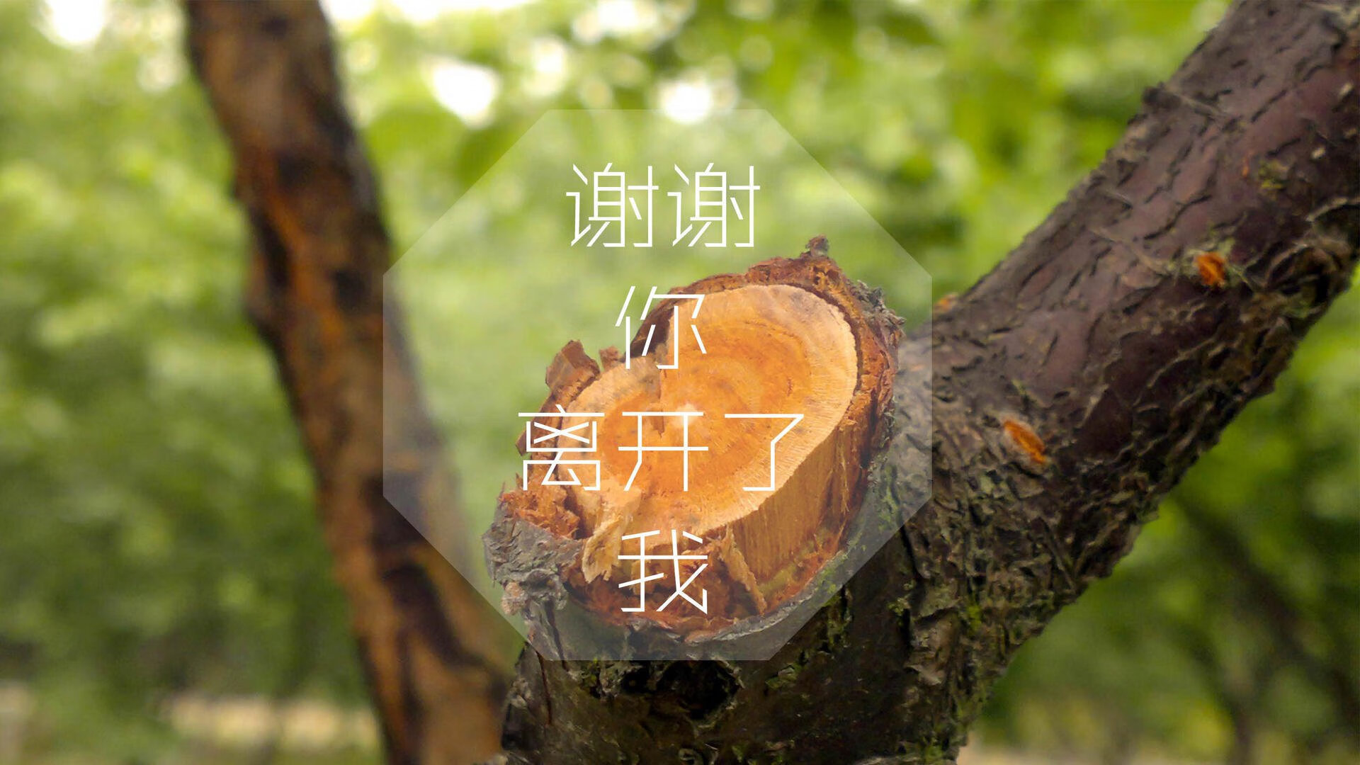 2026世界杯G组生死战,波兰锋线狂潮席卷西班牙,佩德里独木难支成悲情英雄