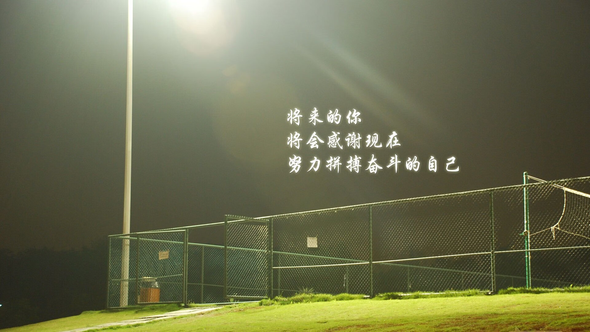 独步2026,阿方索·戴维斯的孤星时刻,瑞士如何在E组焦点战中击碎阿根廷的荣耀