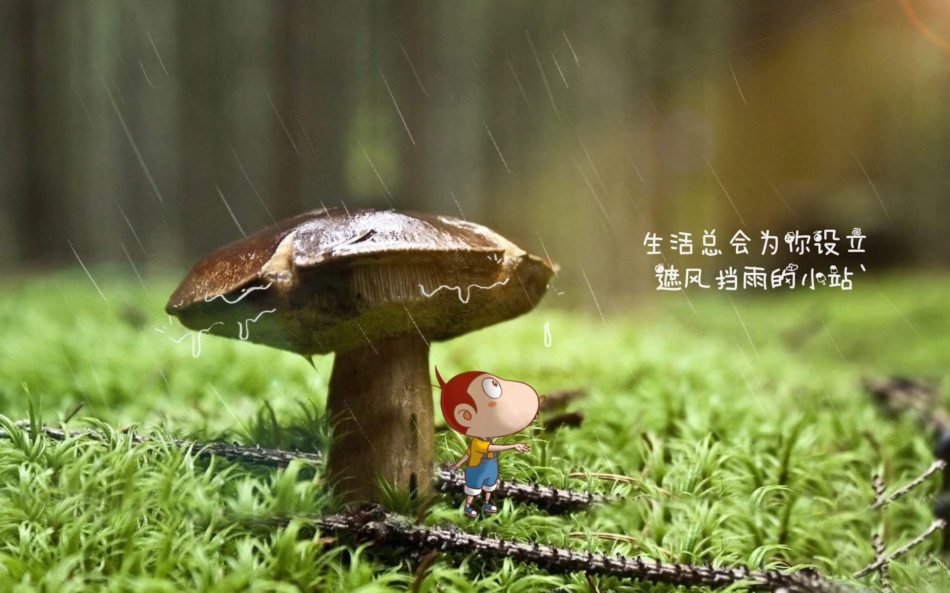 北欧铁骑的致命圆月弯刀，坎塞洛一人改写2026世界杯生死战，瑞典控球狂潮下的塞尔维亚之殇