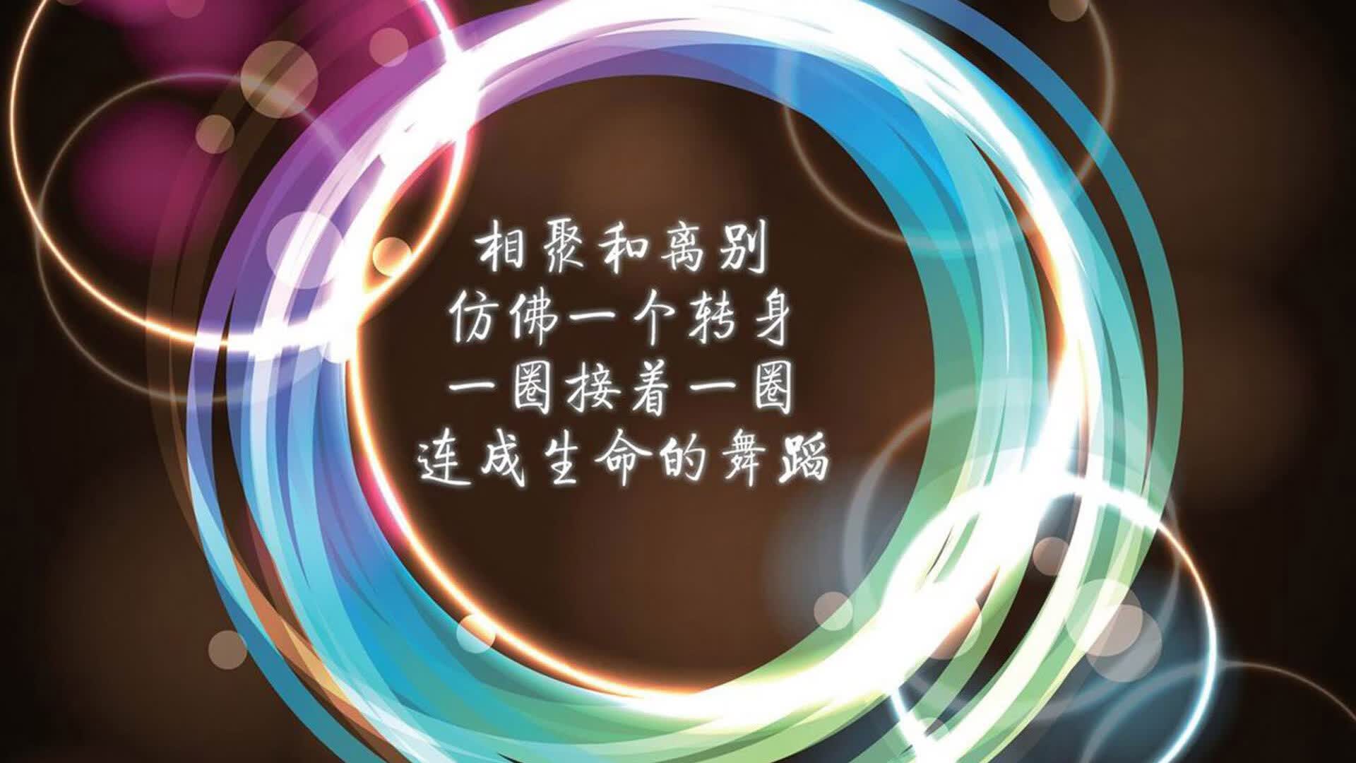 蓝衣军团的涅槃之夜,2026世界杯D组焦点战,佩德里用一记上帝视角助攻,助意大利险胜斯洛伐克