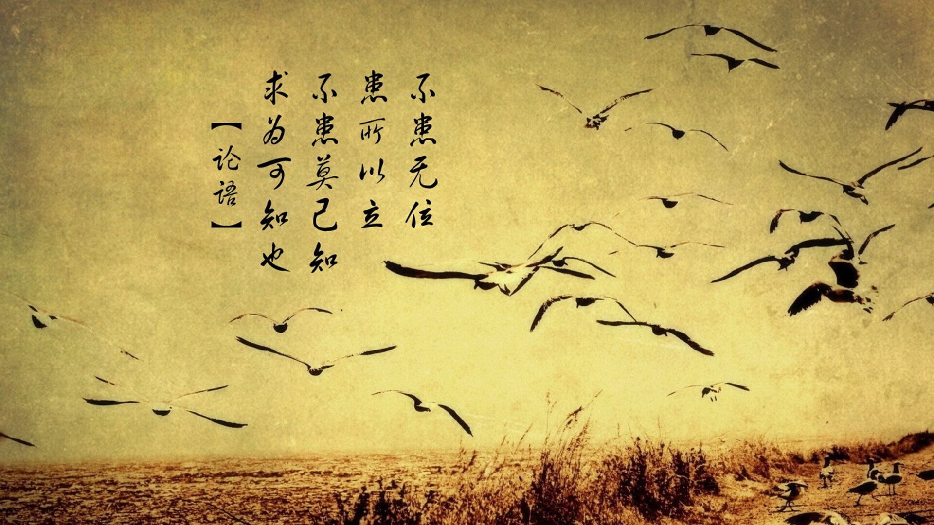 1.唯一的星光，当印度潮汐遇上葡萄牙黄金，格列兹曼在历史缝隙中写下唯一答案