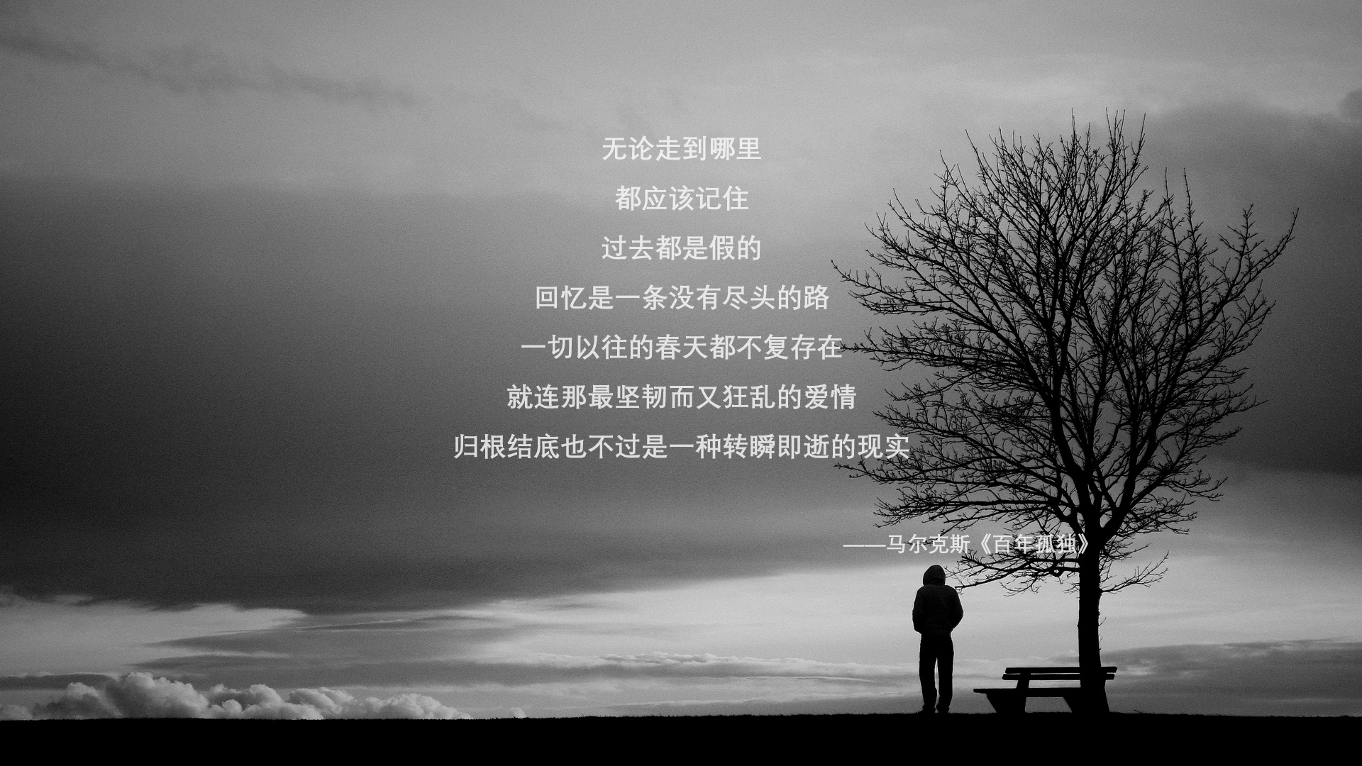 命运在红蓝之间，一场由默契书写的胜负密码，与布罗佐维奇的火种